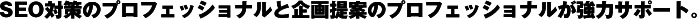 SEO�΍�̃v���t�F�b�V���i���Ɗ���Ẵv���t�F�b�V���i�������̓T�|�[�g�B